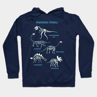 Dinosaur Fossils Hoodie